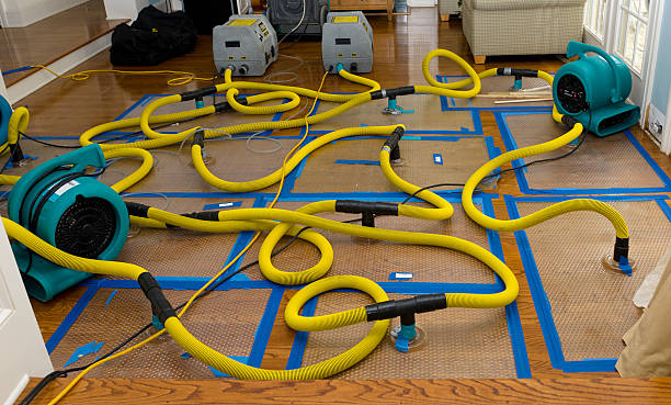 Professional Burst Pipe Water Damage technician working in Pine Bluffs, WY